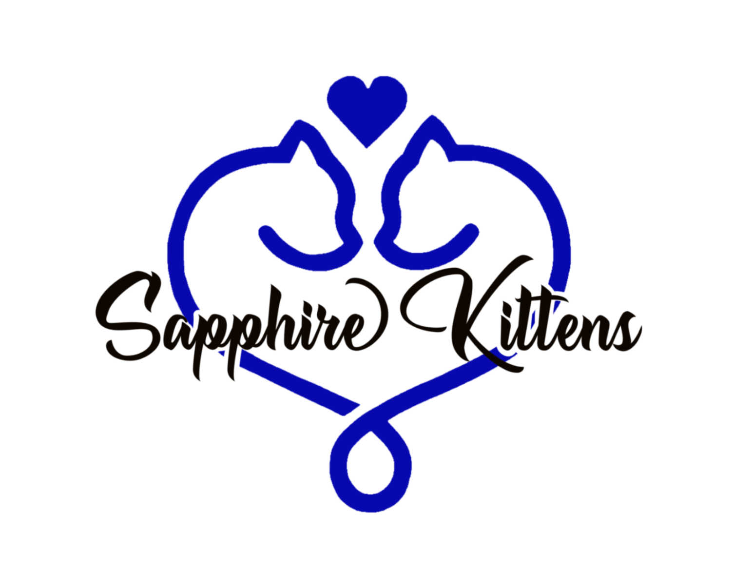 Sapphire Kittens